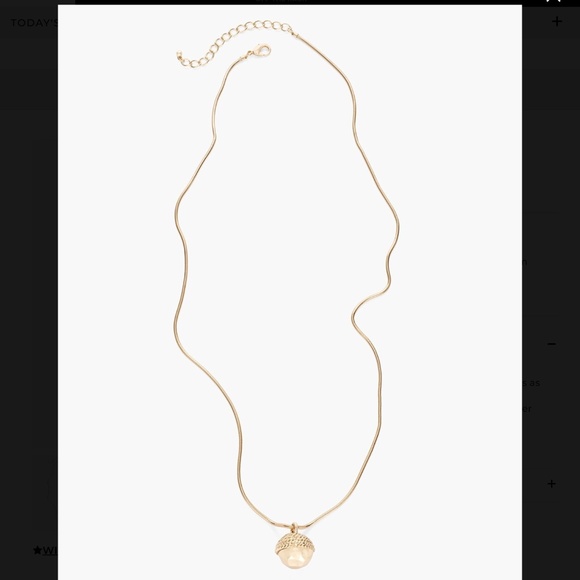 CHICO’S Acorn Briar Ball Long Necklace. With delightful Acorn Shaped Pendant. - Picture 6 of 14